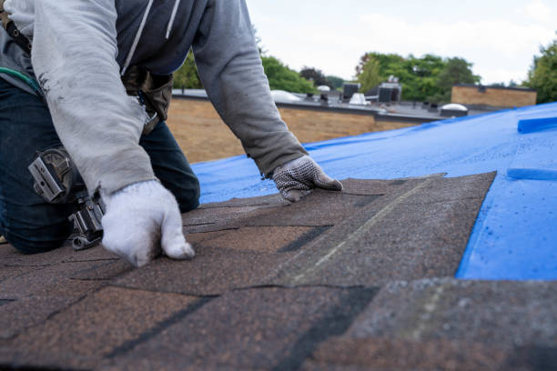 Best Commercial Roofing Services  in Denison, TX