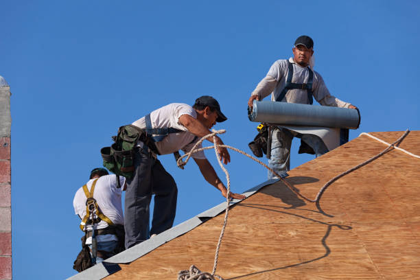 Best Roof Gutter Cleaning  in Denison, TX