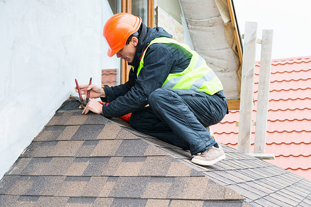 Best Local Roofing Companies  in Denison, TX